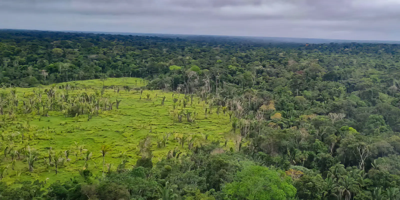 Alertas de desmatamento na Amazônia caem 10,6% em agosto