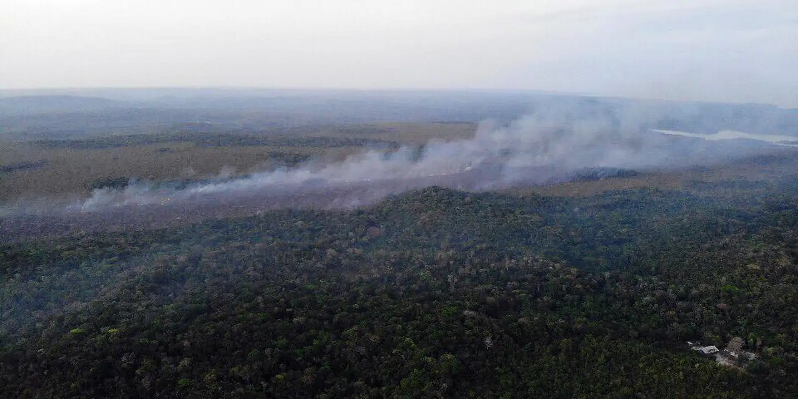 Área de floresta nativa queimada na Amazônia cresce 132% em agosto