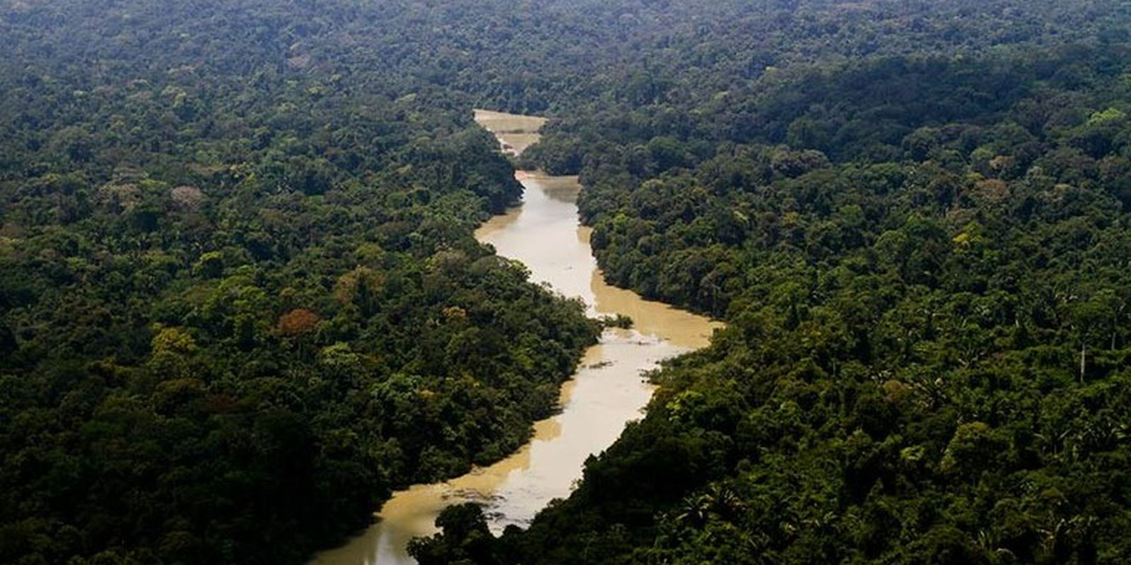 Governo entra com primeira ação por danos climáticos contra a Amazônia