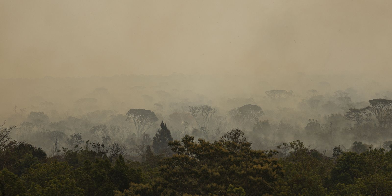 Incêndio no Parque Nacional de Brasília foi controlado