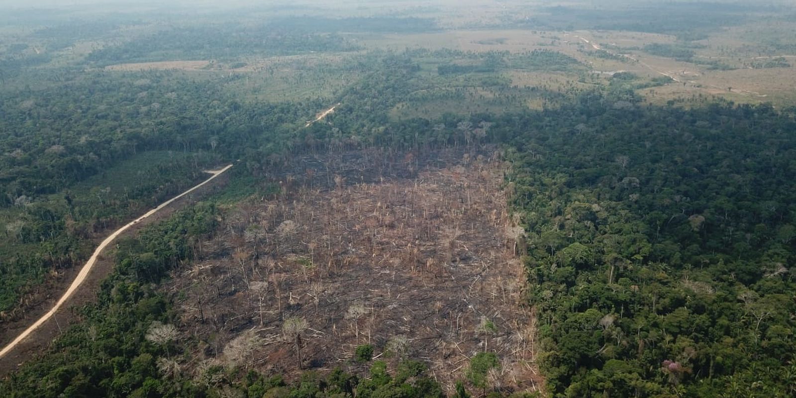 Inpe: mudanças no clima estão ligadas à perda de áreas naturais