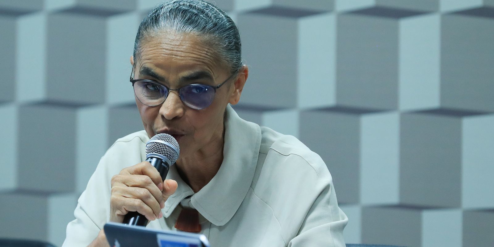 Marina Silva diz que Brasil vive um “terrorismo climático”