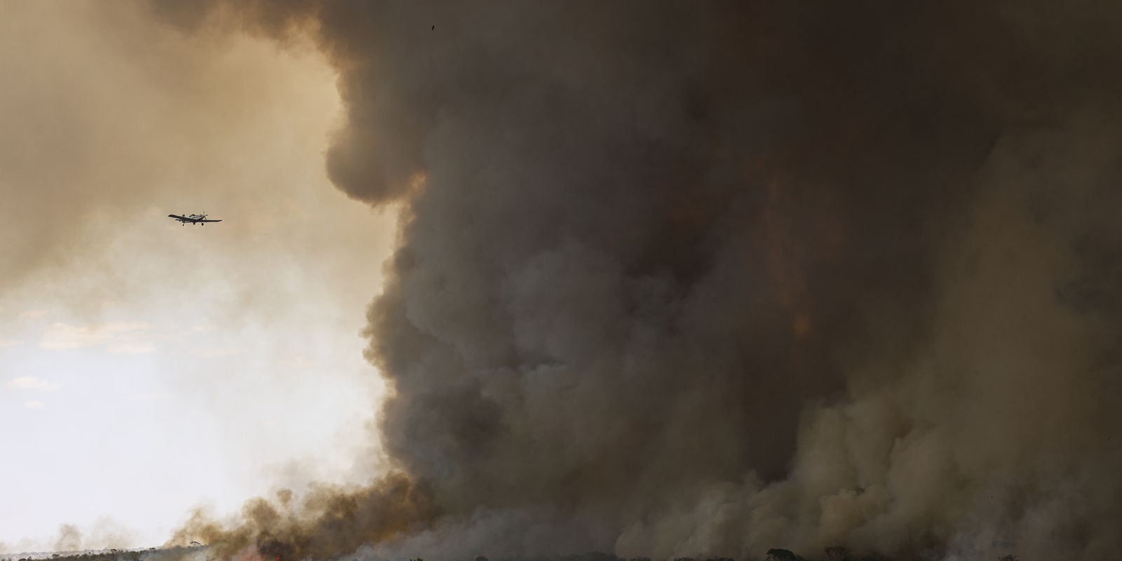 Pesquisa aponta ação coordenada em incêndios no Distrito Federal