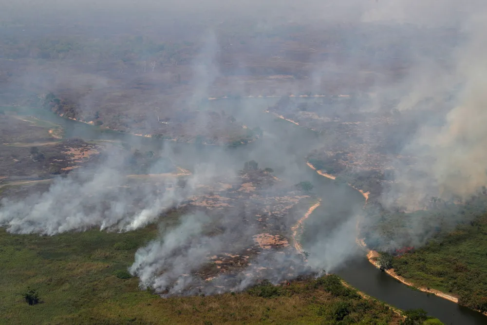 MT lidera queimadas no Brasil com 24 mil focos detectados em 2024, aponta Inpe