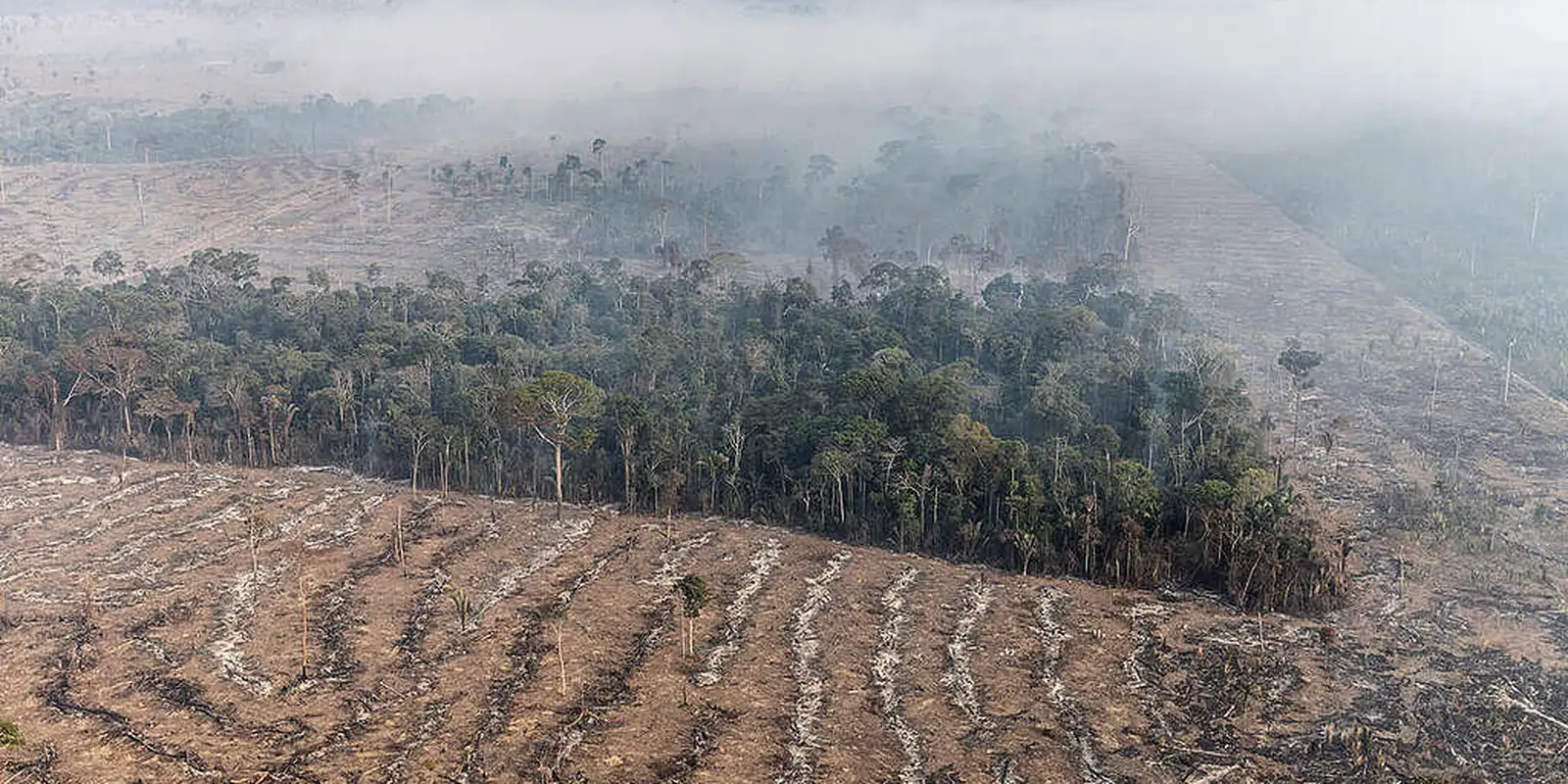 Brasil registra mais de 22 milhões de hectares de área queimada