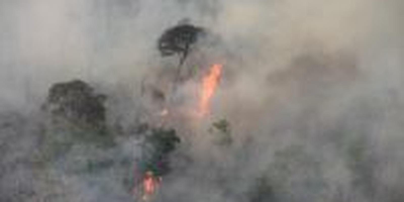 Incêndios colocam em risco seis terras indígenas no Maranhão