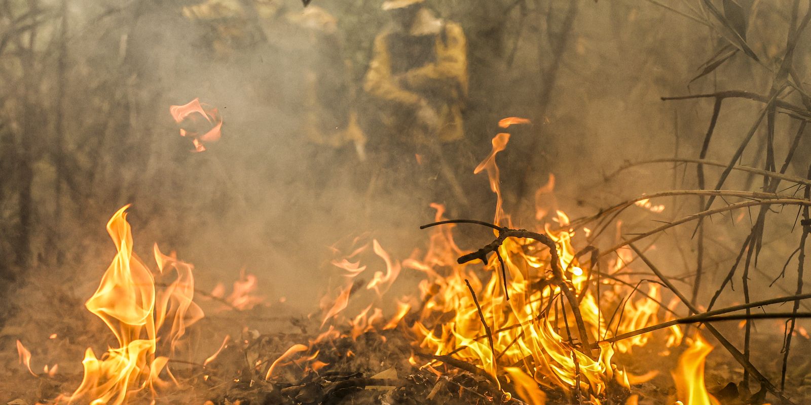 Crime ambiental: governo envia nesta terça (15) PL que endurece penas