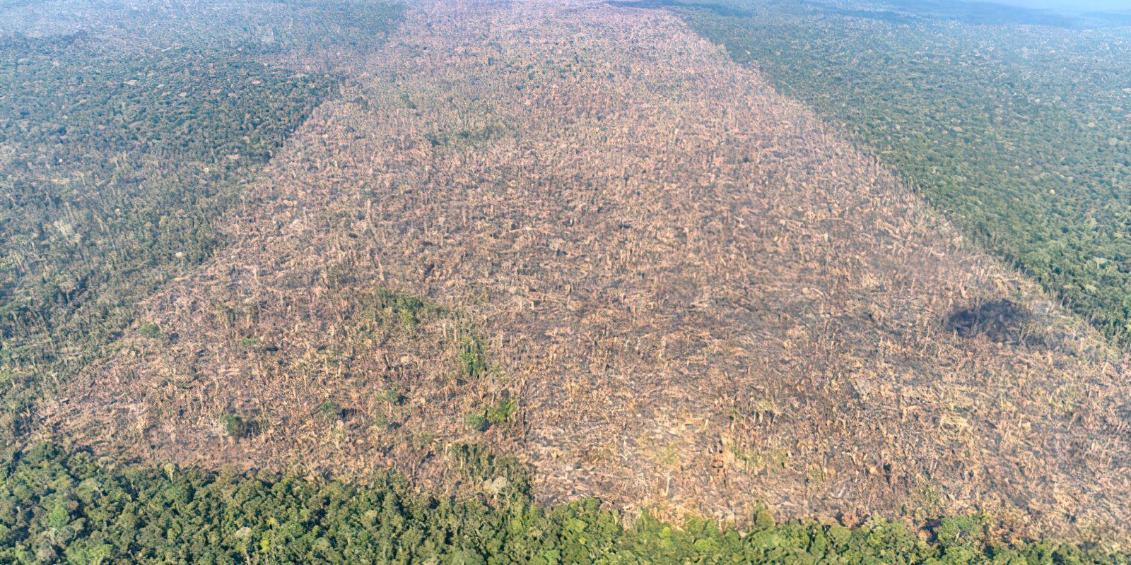 Desmatamento na Amazônia cai 30,6% e atinge menor nível em 9 anos