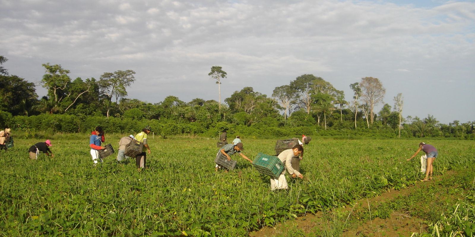 Governo lança programa para agricultura familiar e agroecologia