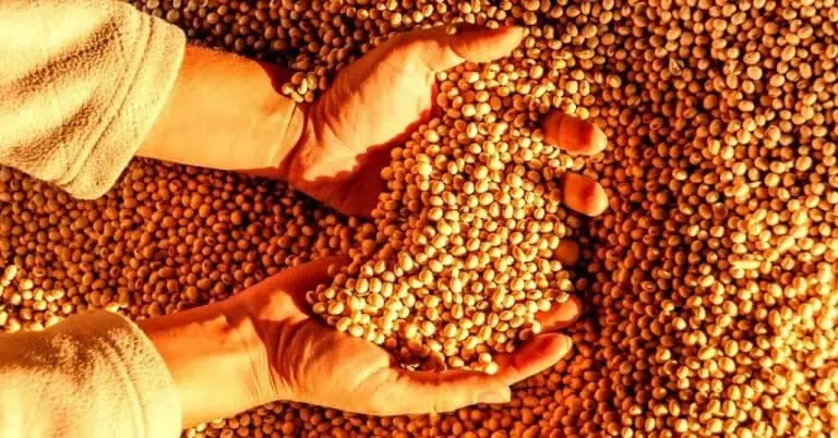 Governo de MS anuncia incentivo de R$ 14,4 milhões ao agronegócio