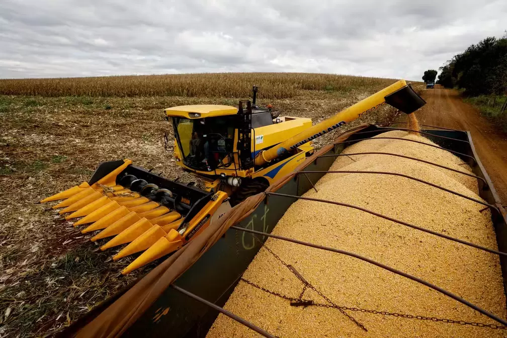 Com impacto no bolso do produtor, crise climática agora é risco à safra do milho em MS