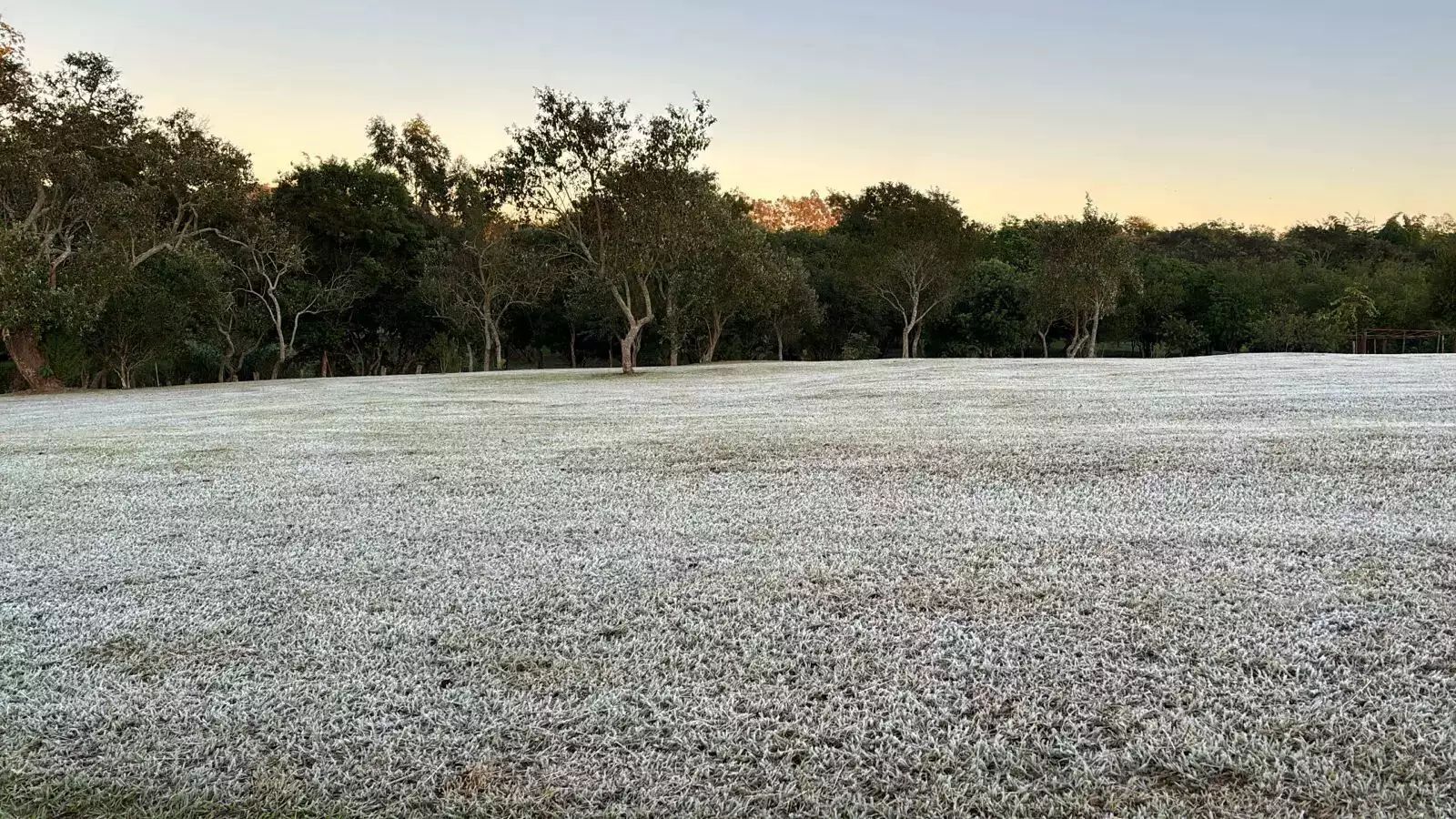 MS tem risco de geada e mínimas de 3ºC nesta sexta-feira