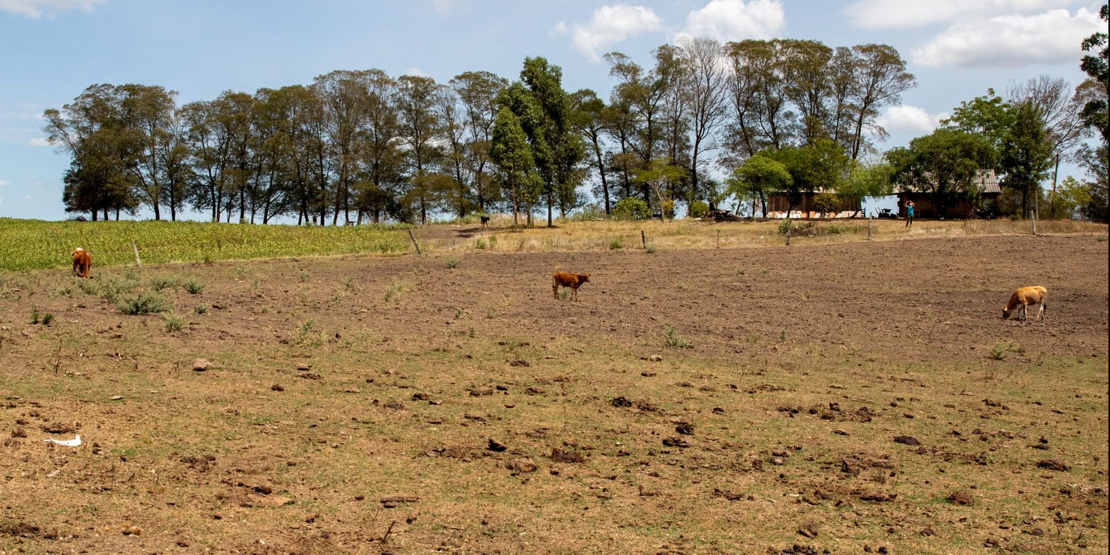 Chuvas, estiagem e seca deixam 20 municípios em situação de emergência