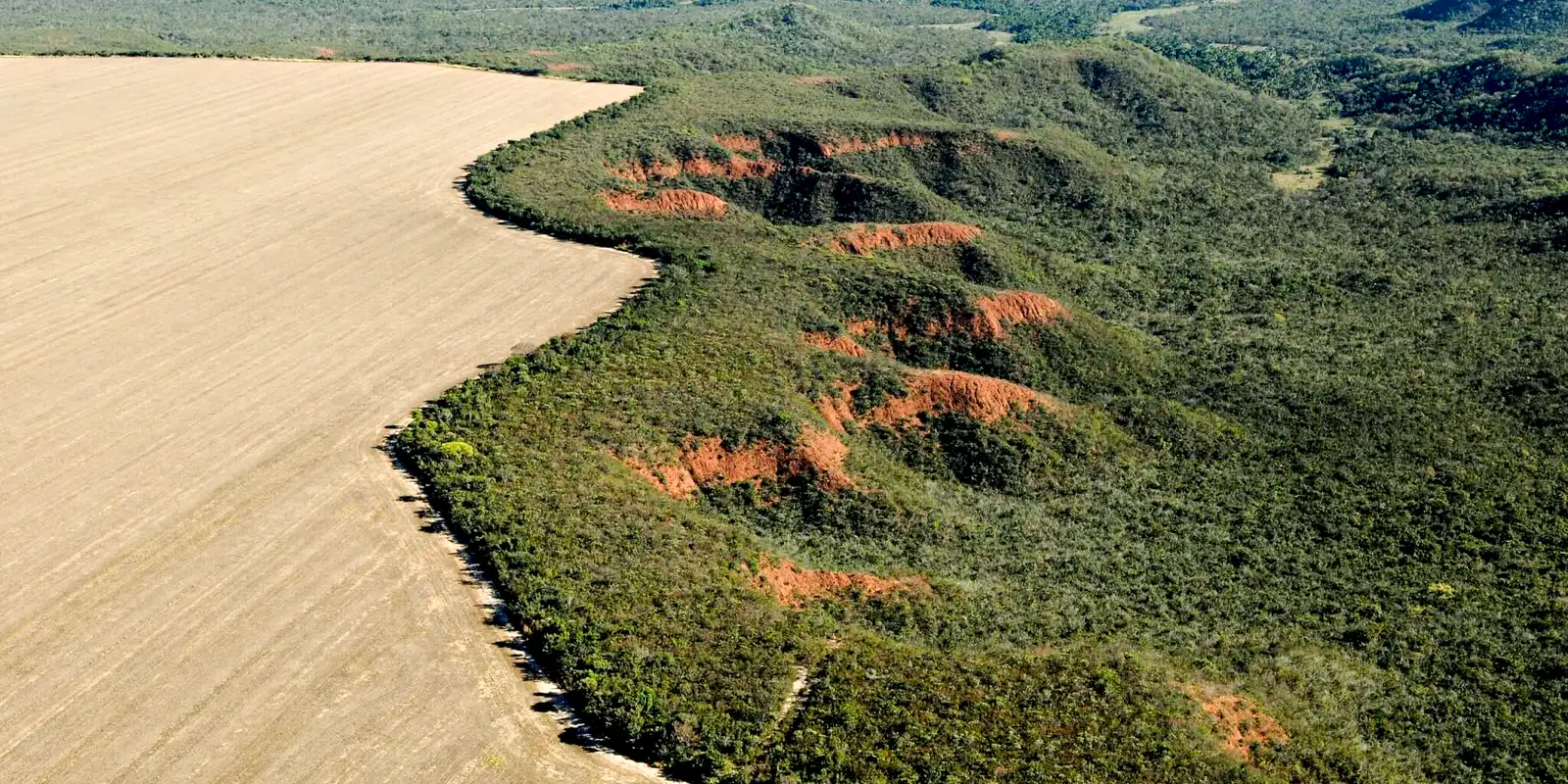Universidades se unem para promover medidas de preservação do Cerrado