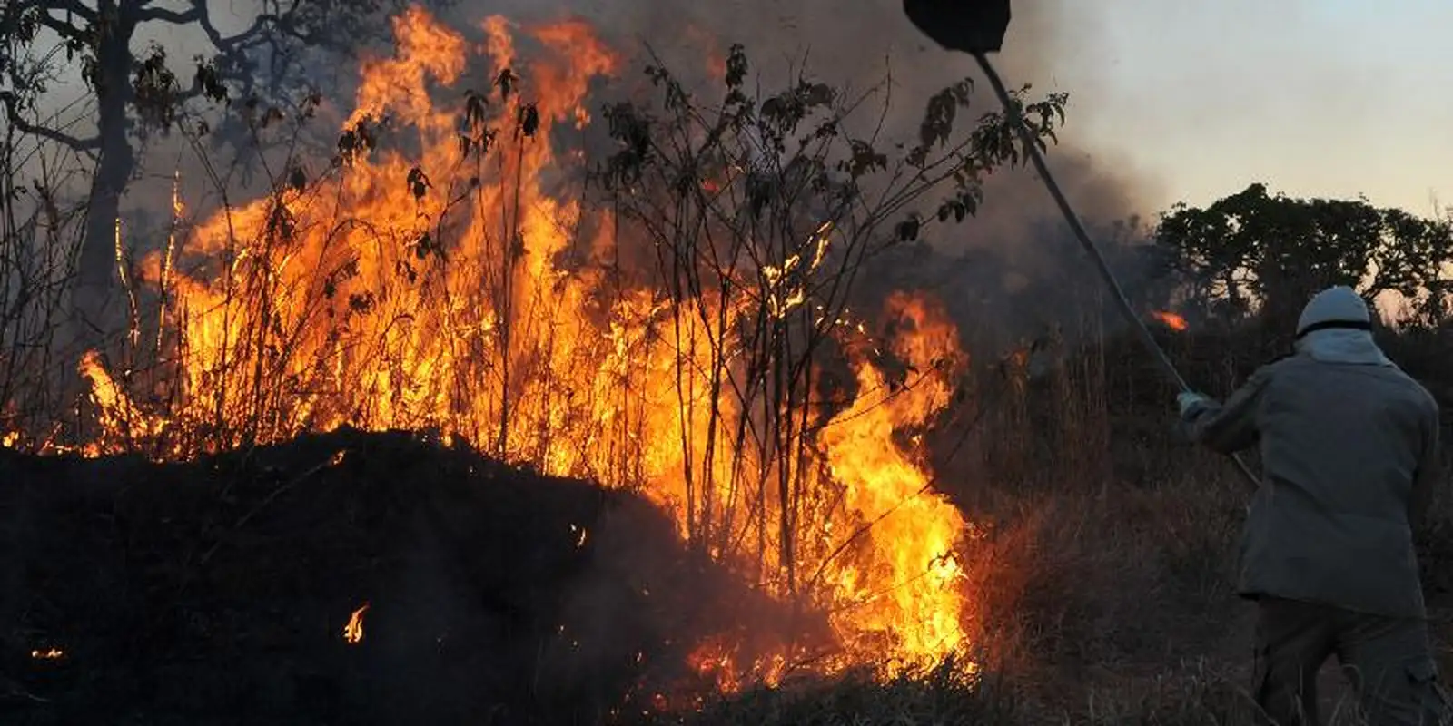Força Nacional vai atuar por mais 90 dias na Amazônia Legal e Pantanal