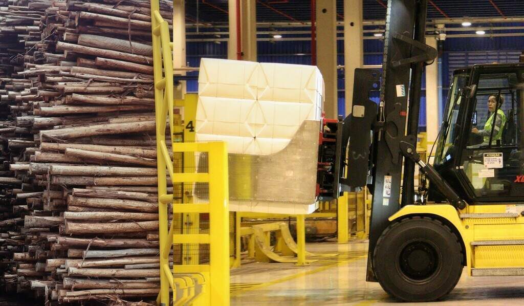 Celulose dispara e exportações de MS somam US$ 5,28 bi no semestre