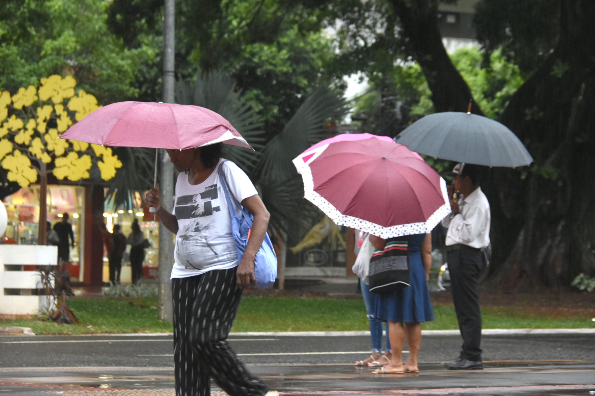 Avanço de frente fria vira o tempo e MS pode ter tempestade nesta semana