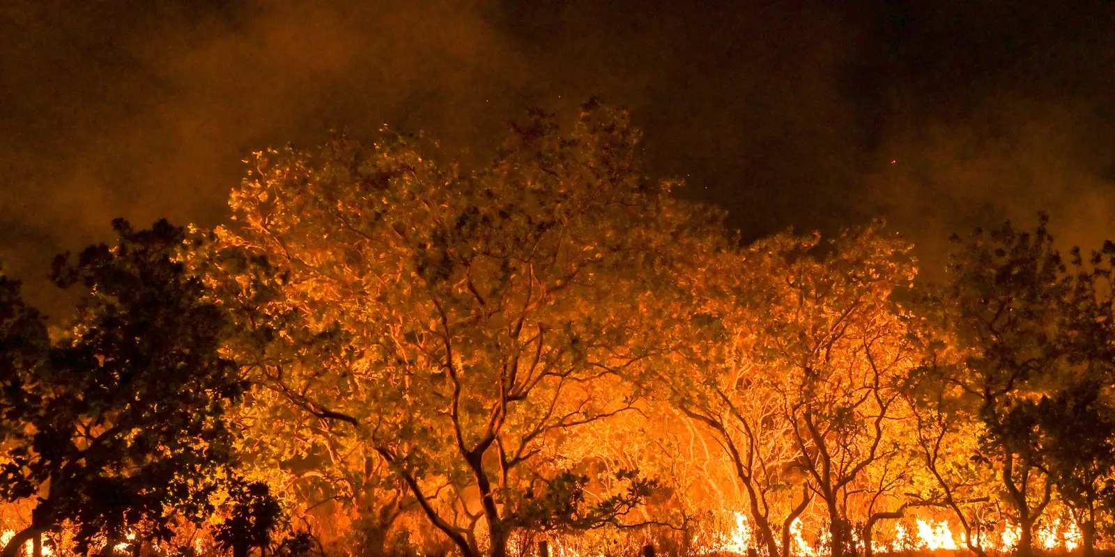 Estado de São Paulo está na semana de maior risco para incêndios