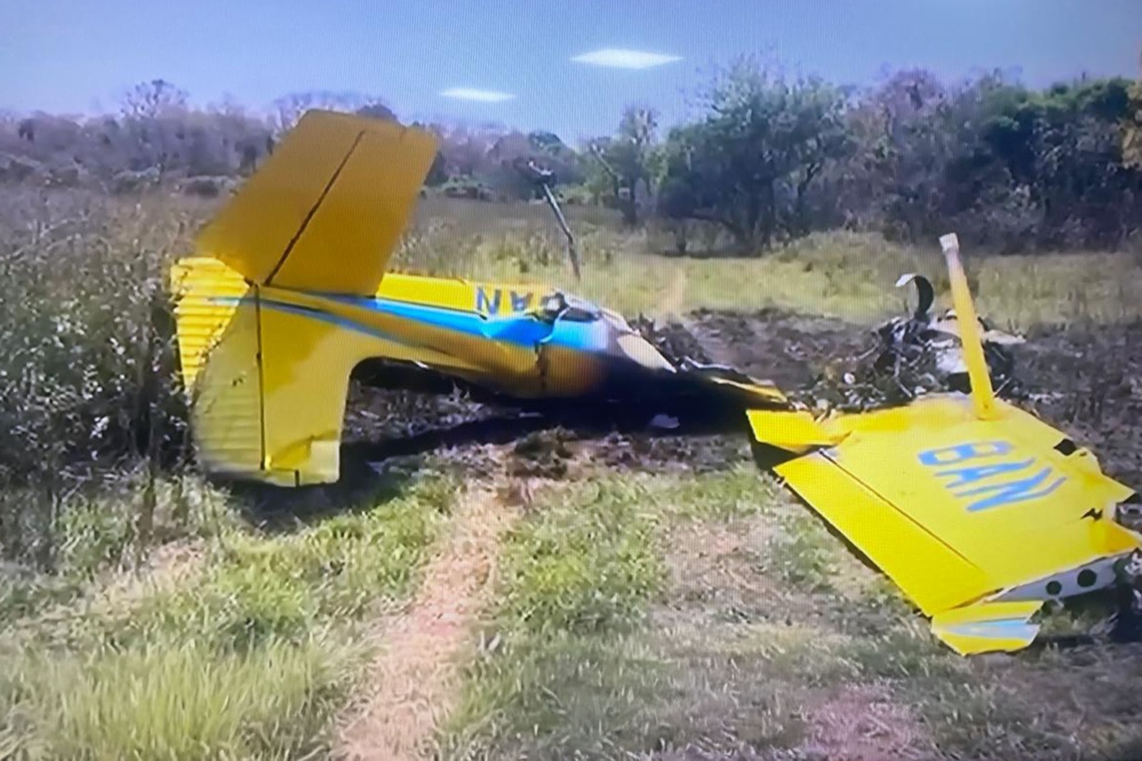 Queixadas na pista podem ter provocado acidente aéreo no Pantanal