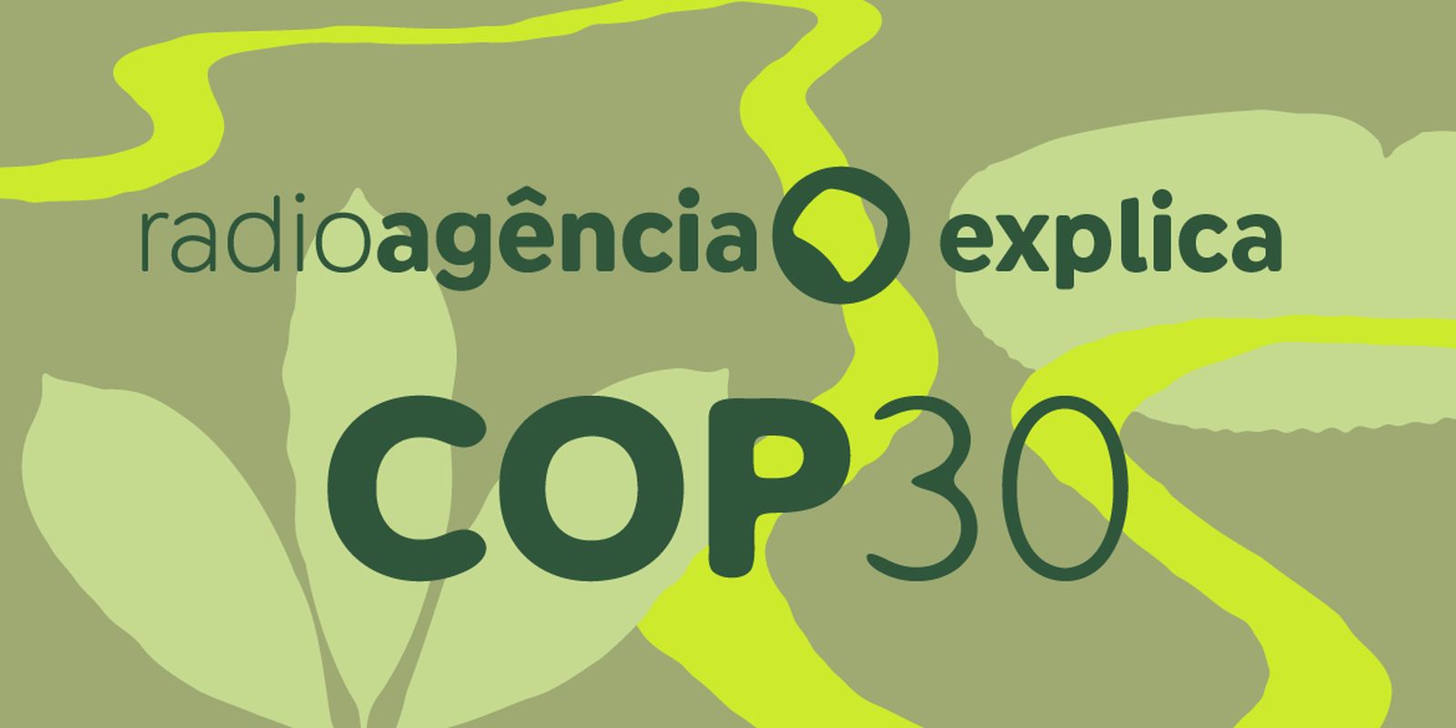 COP30 no Pará: conheça os desafios e compromissos pela ação climática