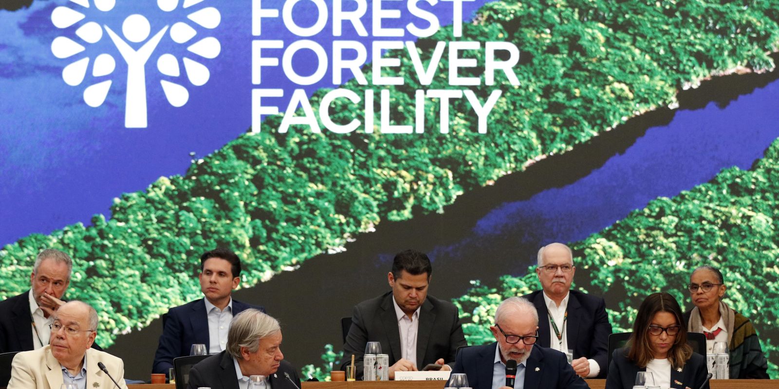 Fundo Florestas Tropicais para Sempre ultrapassa US$ 5 bilhões